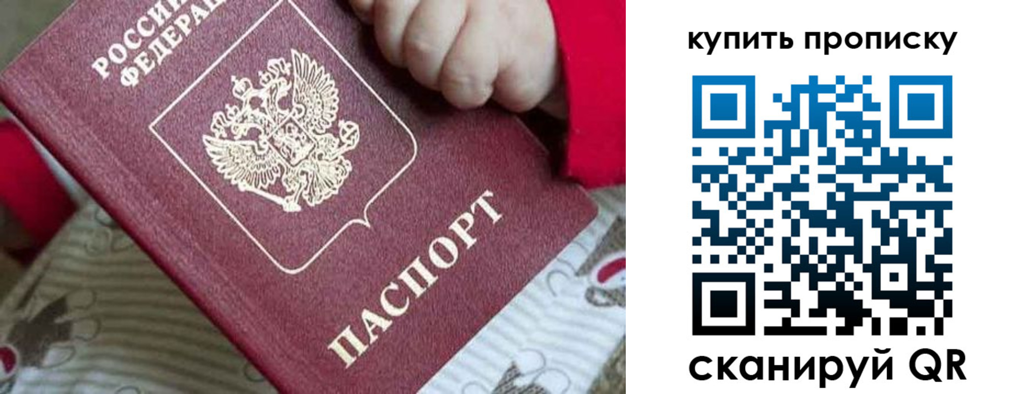 прописка в Вязьме